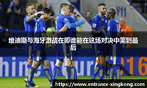 维迪斯与海牙激战在即谁能在这场对决中笑到最后