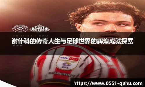 谢什科的传奇人生与足球世界的辉煌成就探索